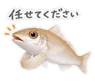 841015095
