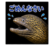 841015155