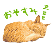 841015650