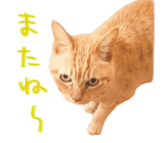 841015653