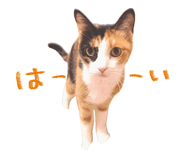 841015655