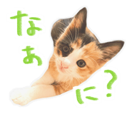 841015662