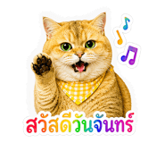 841015716