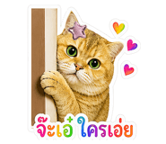 841015720