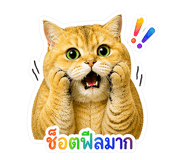 841015721