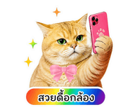 841015726