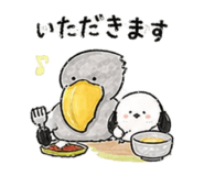 841015816