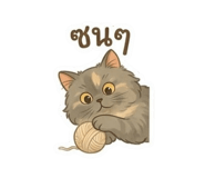 841016772