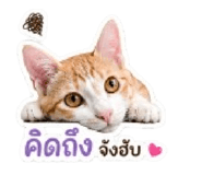 841017576