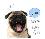 841020897