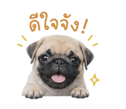 841021530