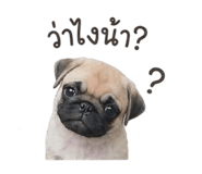 841021531