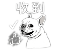 841022156