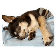 841022204