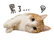 841023183