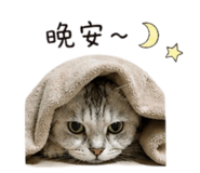 841024117