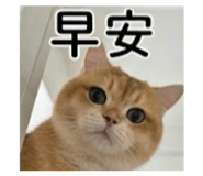 841024251