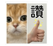 841024257