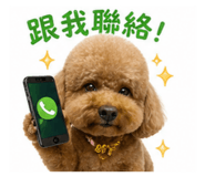 841024376