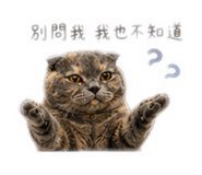 841024975
