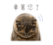 841024982