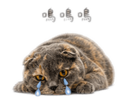 841024990