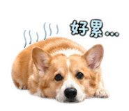 841025168
