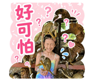 841025237
