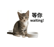 841025532