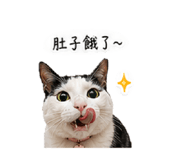 841025588