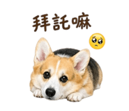 841025926