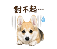 841025930