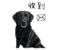 841026632