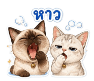841028207