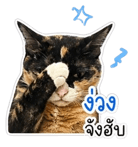 841028340