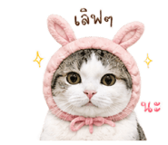 841029541
