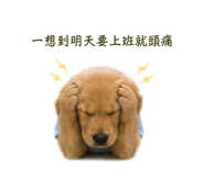 841029589