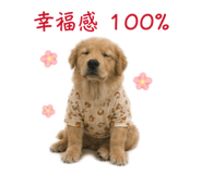 841029591