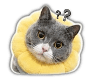 841029919
