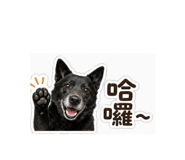 841030041