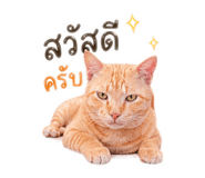 841030705