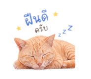 841030708