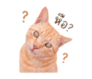 841030709