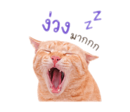 841030710