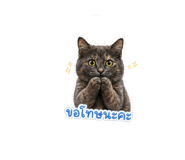 841031282