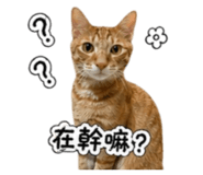 841031824