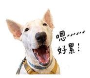 841033382