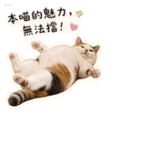 841034051