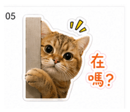 841034732