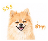 841039219